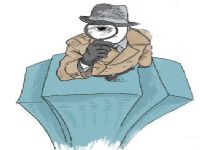 巴林左旗取证公司解说第三者承担离婚赔偿责任吗